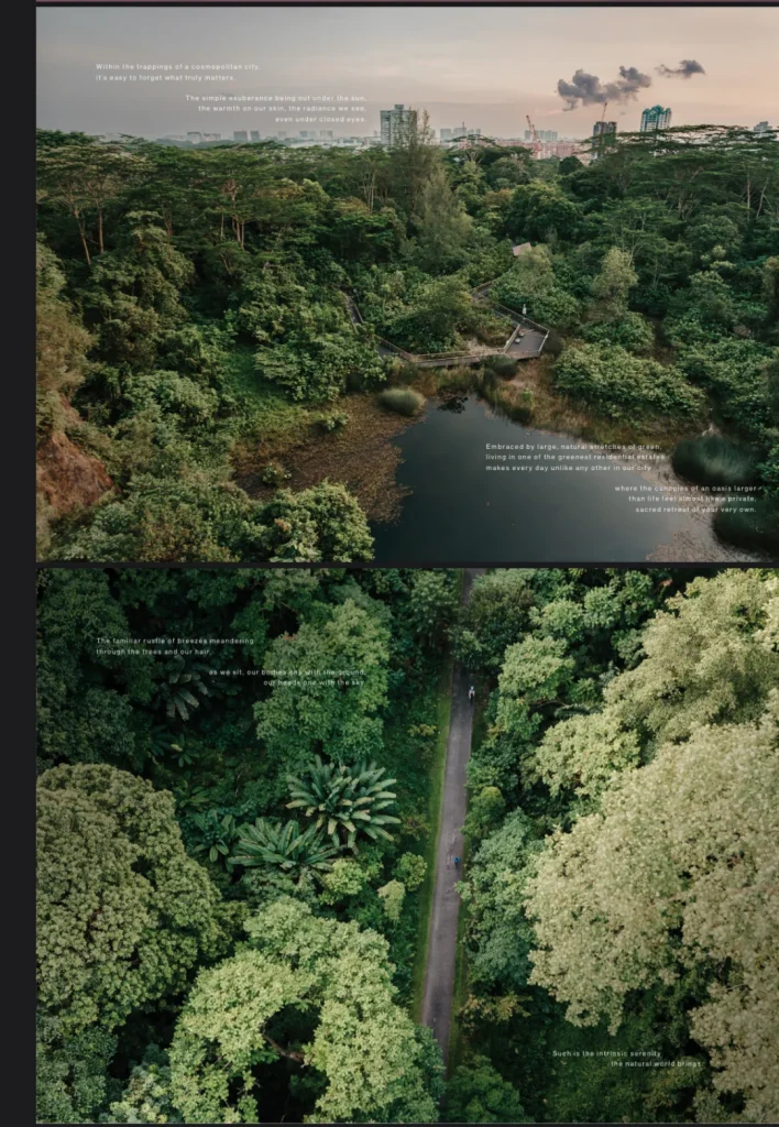 The Sen: a new Bukit Timah development arrives 💫 — Original photo 2