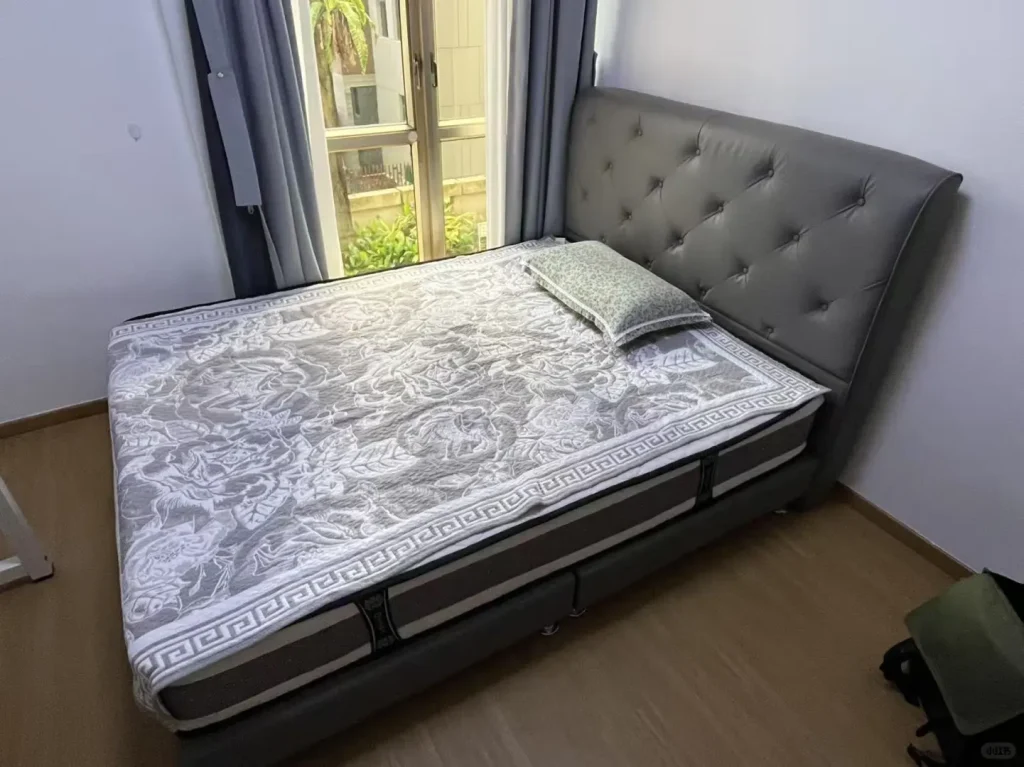 Regent Park condo room for rent near NUS, Curtin and Clementi — Original photo 1