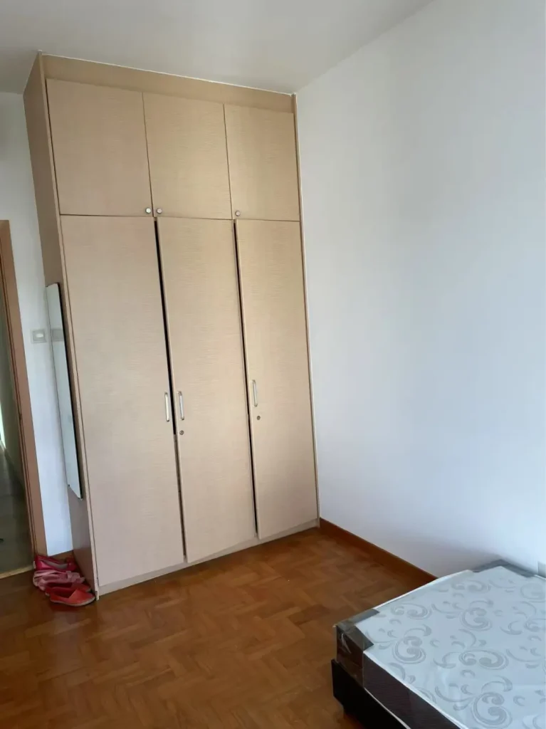 Hillview rental near NUS, NTU and SIM — Original photo 7