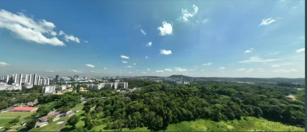 Pinetree Hill launches: within 1 km of Henry Park, with 88% greenery — Original photo 2
